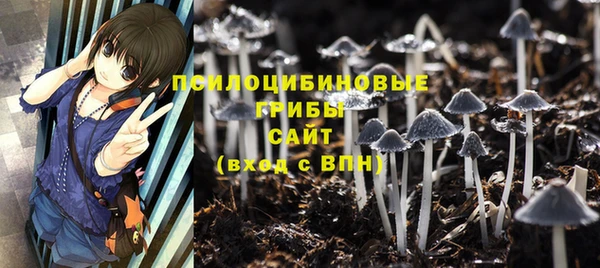 героин Алзамай