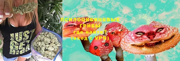 СК Абдулино