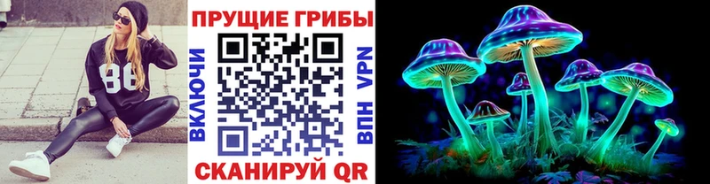 Псилоцибиновые грибы Psilocybe Новоуральск